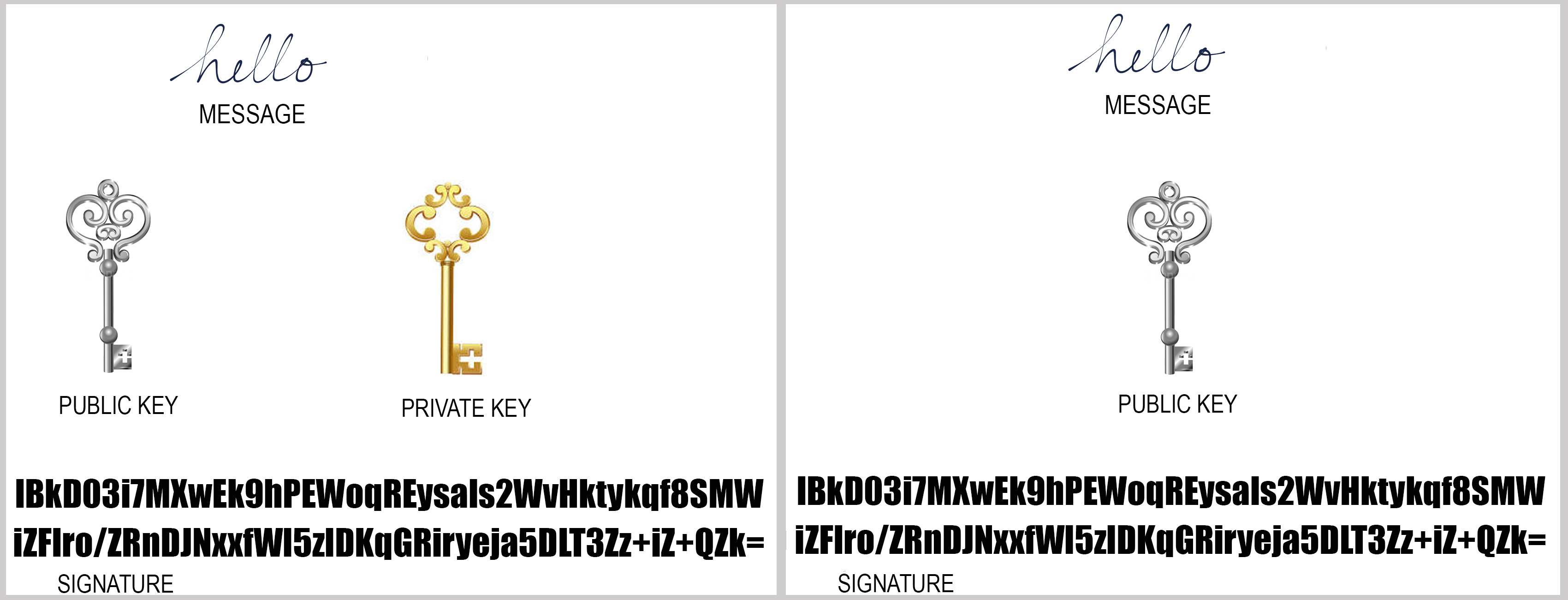 如何使用比特币现金地址和数字签名证明所有权